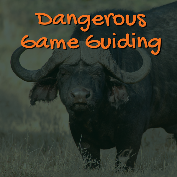 Dagerous Game Guiding