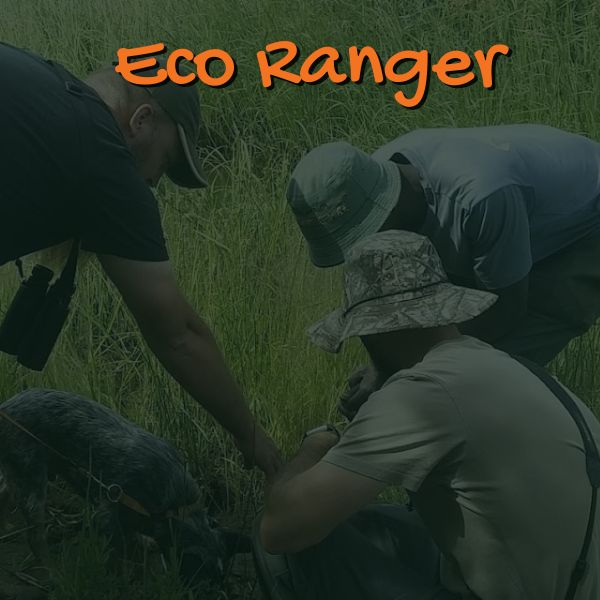 Eco Ranger