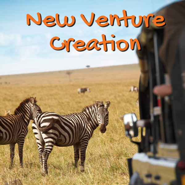 New Venture Creatio