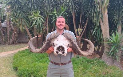 BUFFELSKEDEL SKOONMAAK PROJEK MET WURMS EN STINKGOGGAS.