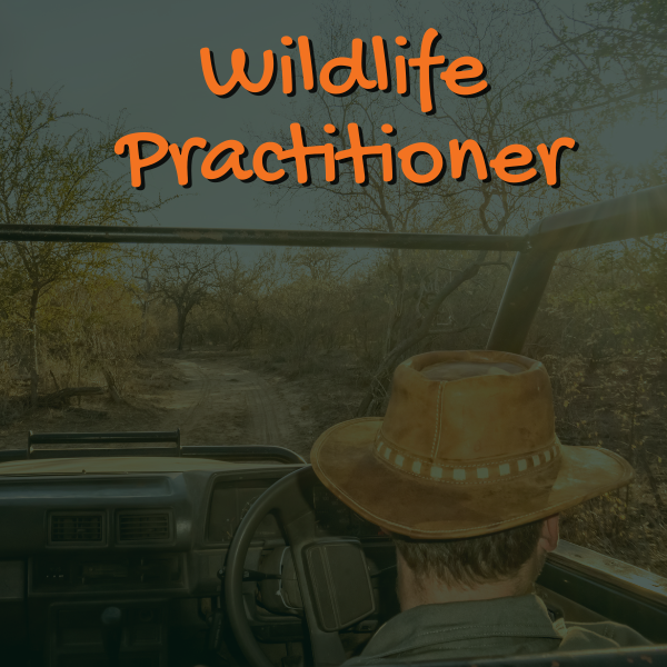 Wildlife Prac