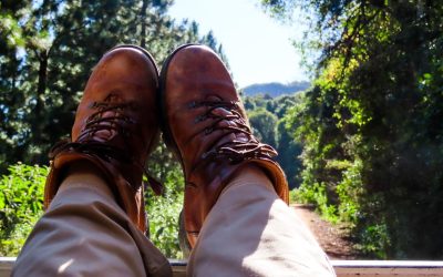 VAN GROTTE,WOUDE,BERGE,KNYSNA LOERIES EN KROONARENDE WAT N PROPVOL NAWEEK