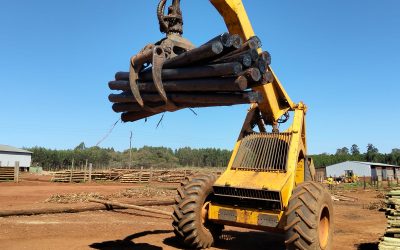 Ons nuwe bokkraal-Projek