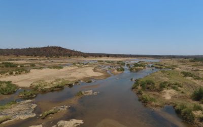 N dag vol Leeus, Lifers en Lag – Avontuur saam Jaysen in die Kruger Park