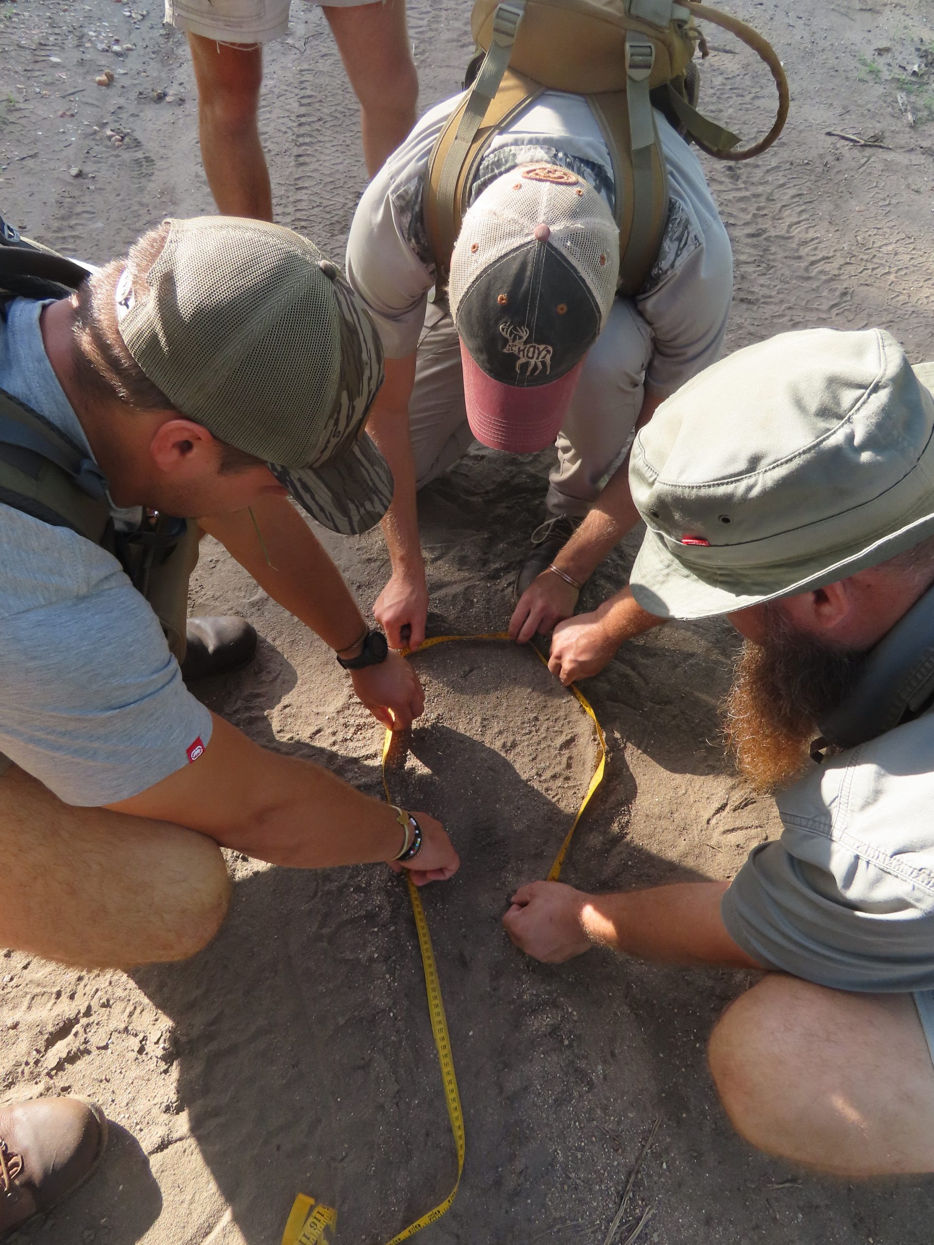 Introduction to Animal Tracking: Track & Sign Basics